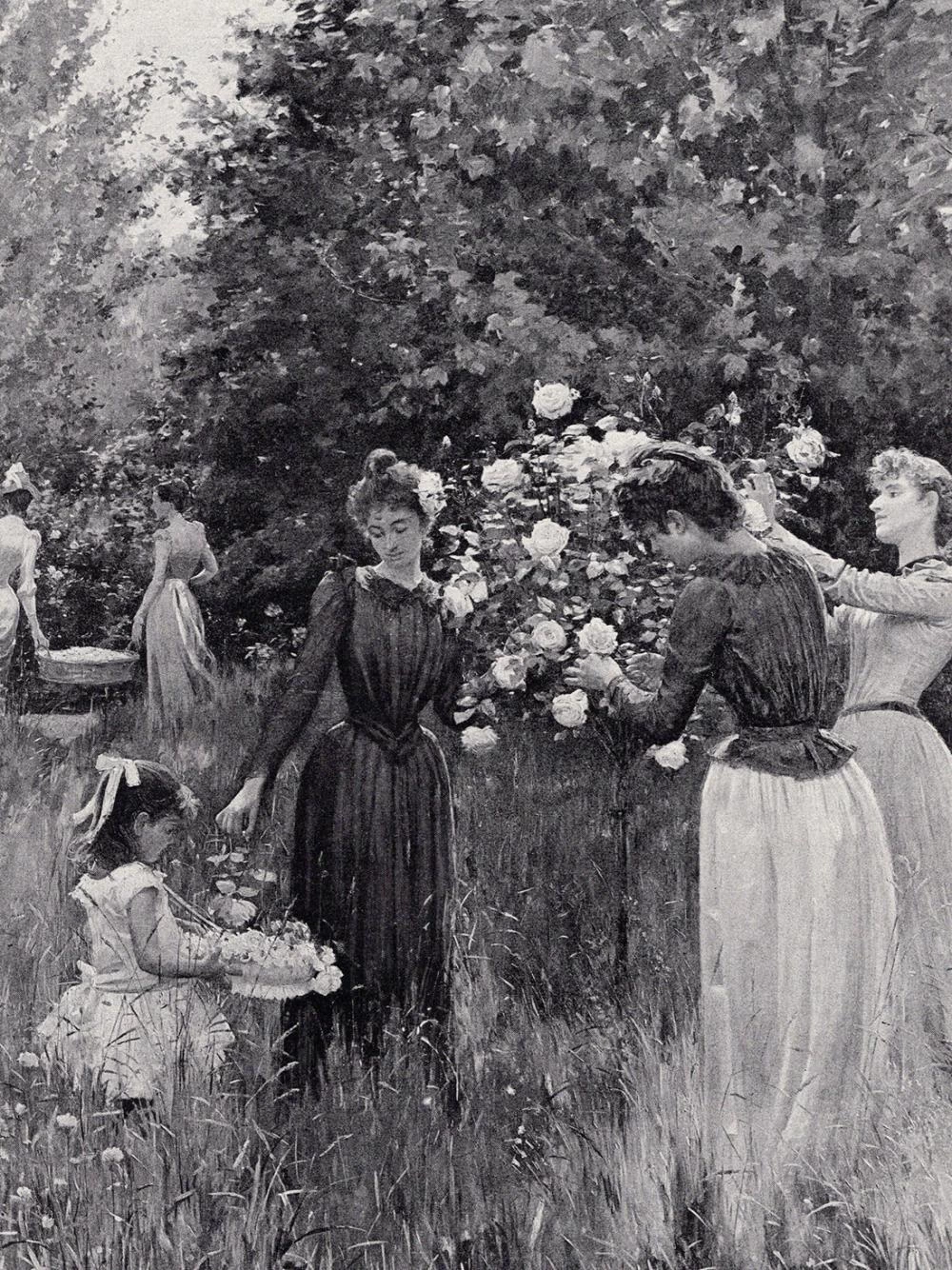 Una festa di fiori